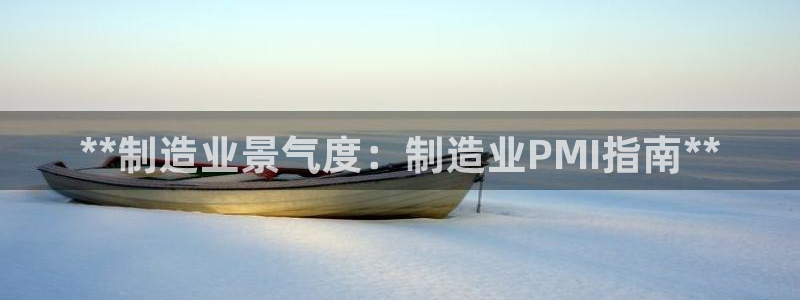 新版彩神v8登录不上去：**制造业景气度：制造业PMI指南*