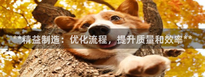 彩神8是正规平台吗：**精益制造：优化流程，提升质量和效率*