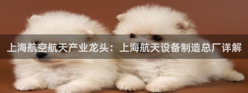 v大发彩神8iii：上海航空航天产业龙头：上海航天设备制造总厂详解