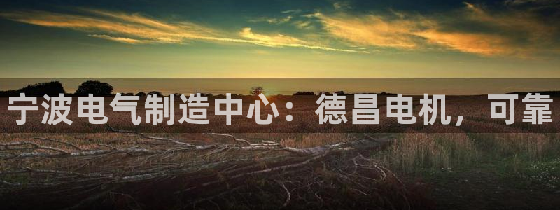 彩神ix平台：宁波电气制造中心：德昌电机，可靠