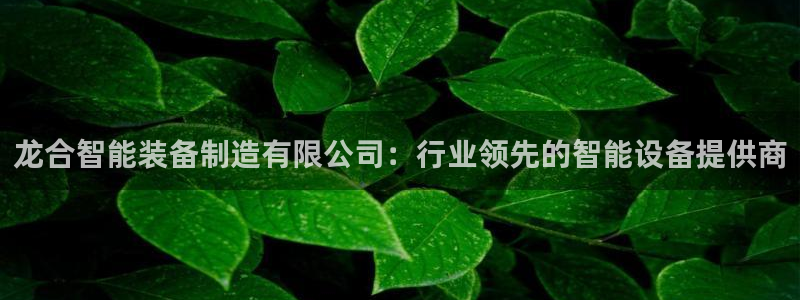 彩神vii官网大赢家：龙合智能装备制造有限公司：行业领先的智能设备提供商