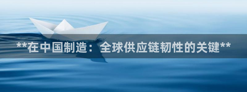 彩神8购彩-购彩大厅：**在中国制造：全球供应链韧性的关键**