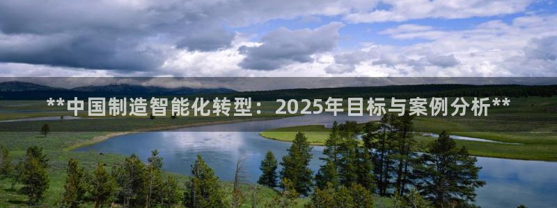 彩神v8手机客户端怎么下载：**中国制造智能化转型：2025年目标与案例分析**