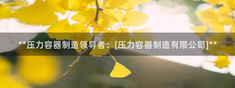 彩神v8平台正规吗知乎：**压力容器制造领导者：[压力容器制造有限公司]**