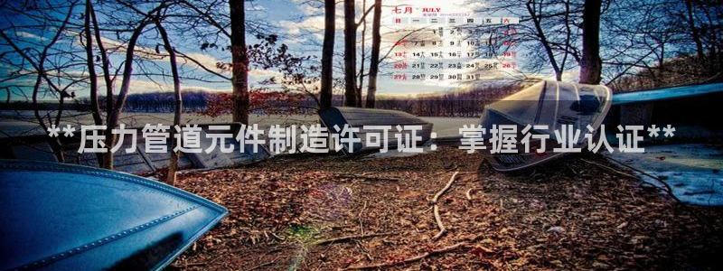 彩神平台可以破解吗