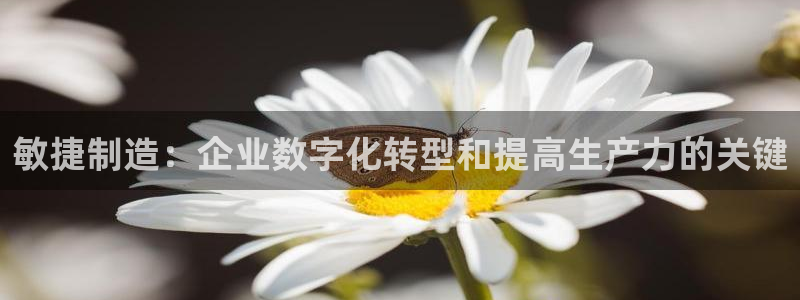彩神v平台：敏捷制造：企业数字化转型和提高生产力的关键