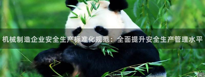 彩神可以提现吗