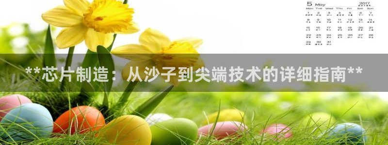 大发彩神争：**芯片制造：从沙子到尖端技术的详细指南**