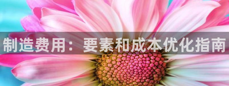 彩神官方网站登录是多少：制造费用：要素和成本优化指南