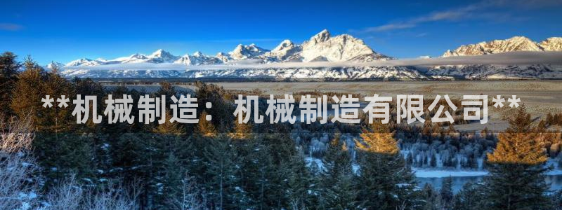 彩神v|：**机械制造：机械制造有限公司**
