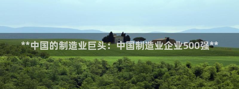 彩神ix官网：**中国的制造业巨头：中国制造业企业500强**