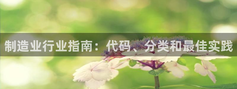 彩神v违法么：制造业行业指南：代码、分类和最佳实践