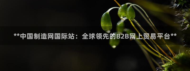 彩神ix能赚钱吗