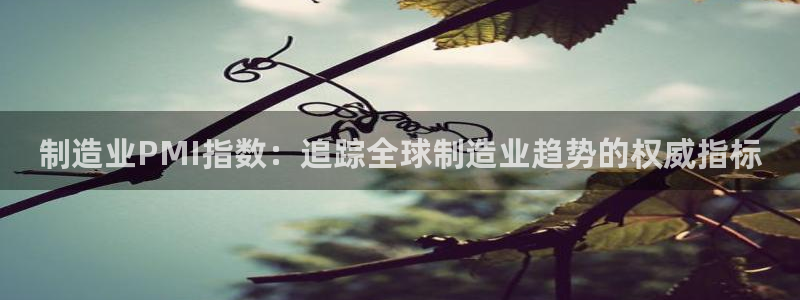 彩神vll官网-最新版app下载：制造业PMI指数：追踪全球制造业趋势的权威指标