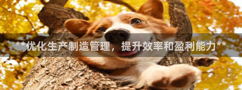 彩神网官网登录：**优化生产制造管理，提升效率和盈利能力**