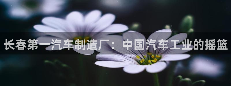 彩神8官网合法吗