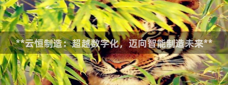彩神争霸老平台：**云恒制造：超越数字化，迈向智能制造未来*