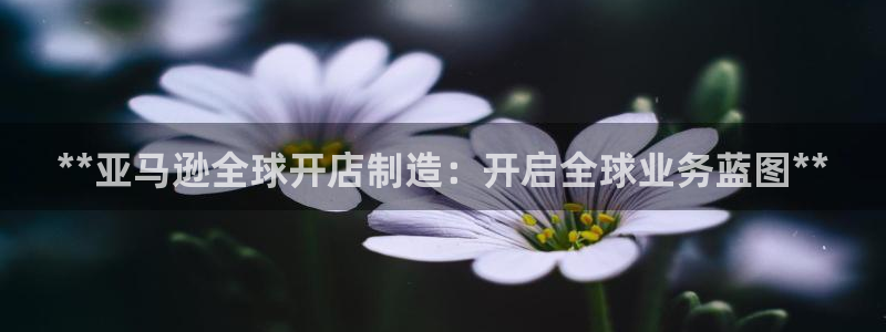 彩神可以提现吗：**亚马逊全球开店制造：开启全球业务蓝图**