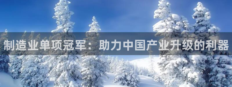 彩神通关注码金码对应码：制造业单项冠军：助力中国产业升级的利