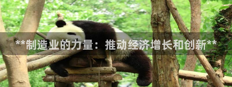 彩神vii购彩l心