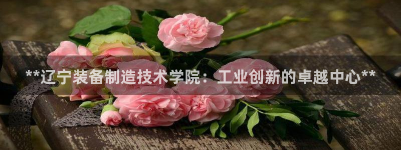 彩神vii官网：**辽宁装备制造技术学院：工业创新的卓越中心**