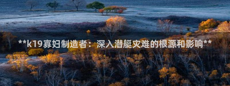 大发彩神争：**k19寡妇制造者：深入潜艇灾难的根源和影响**