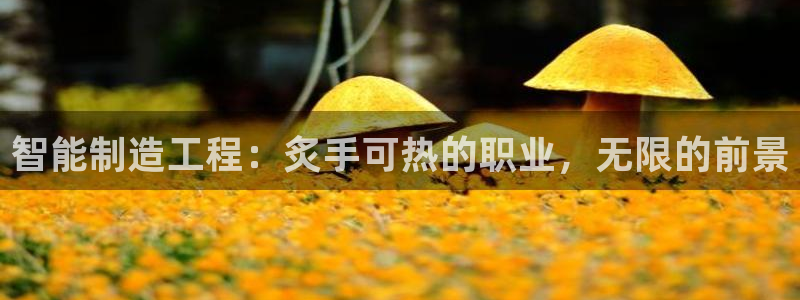 彩神大发是不是人为操作