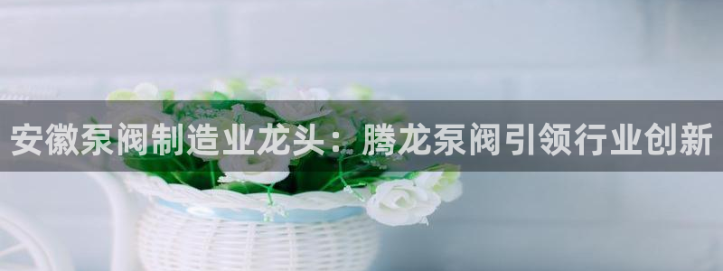 彩神盈利图片：安徽泵阀制造业龙头：腾龙泵阀引领行业创新