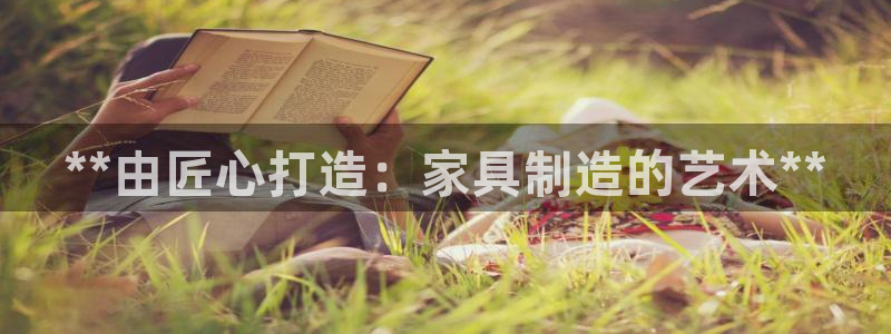 彩神V集团公司