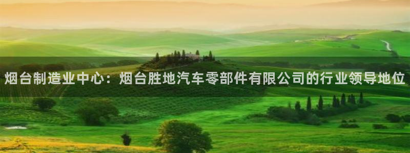 下载彩神争霸谁与我争锋：烟台制造业中心：烟台胜地汽车零部件有