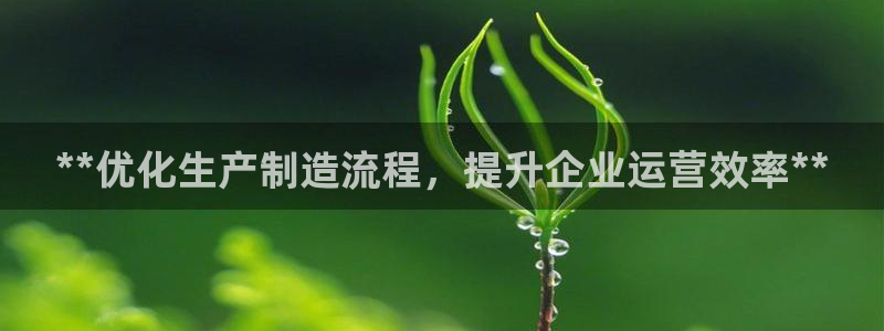 新版彩神v8登录：**优化生产制造流程，提升企业运营效率**