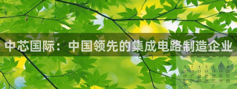 彩神v8下载app：中芯国际：中国领先的集成电路制造企业