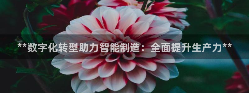 彩神争霸官网登录平台