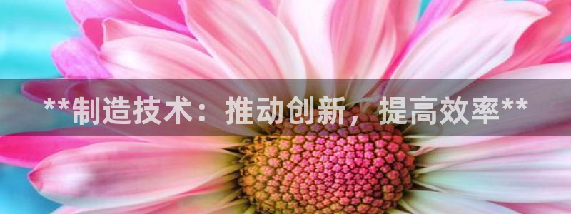 彩神旗下有哪些平台可以玩：**制造技术：推动创新，提高效率**