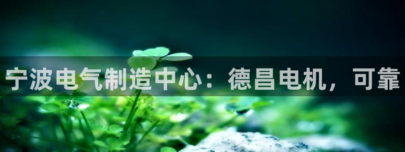 彩神是正规平台吗安全吗：宁波电气制造中心：德昌电机，可靠