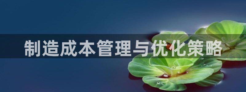 彩神Vll购彩大厅：制造成本管理与优化策略
