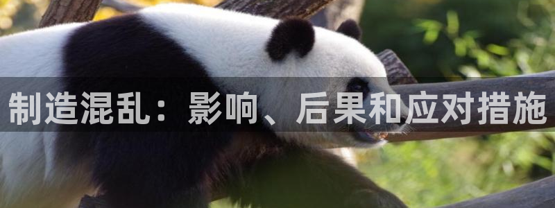 彩神xapp官方网站：制造混乱：影响、后果和应对措施