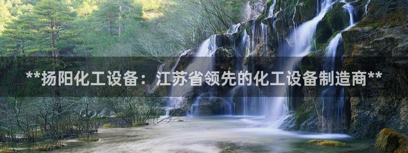彩神iv争霸购彩大厅：**扬阳化工设备：江苏省领先的化工设备制造商**