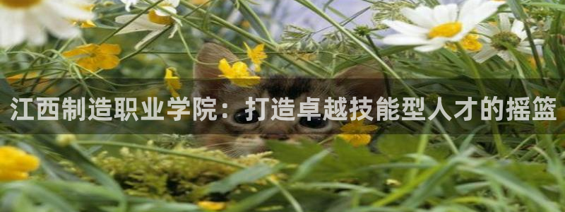 彩神网正规吗：江西制造职业学院：打造卓越技能型人才的摇篮