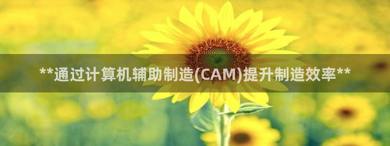 彩神是正规平台吗
