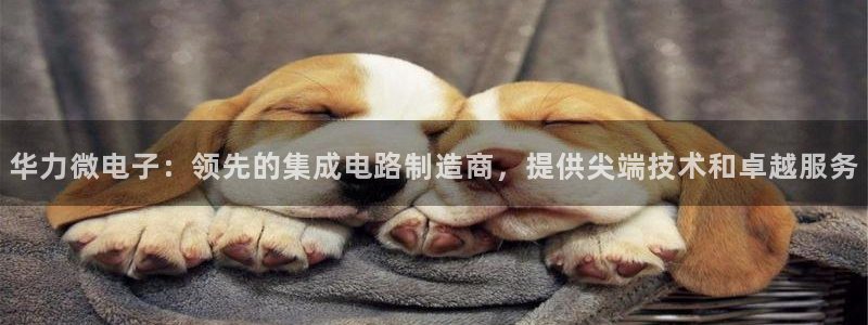 彩神的邀请码是多少：华力微电子：领先的集成电路制造商，提供尖端技术和卓越服务