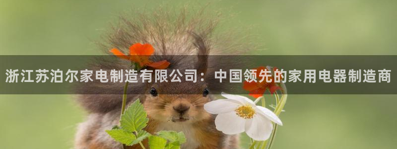 彩神平台能提现吗：浙江苏泊尔家电制造有限公司：中国领先的家用