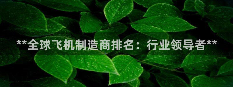 彩神vll购彩大厅：**全球飞机制造商排名：行业领导者**