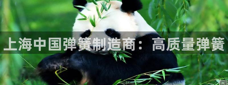 彩神通官网下载