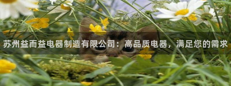 彩神vll首页