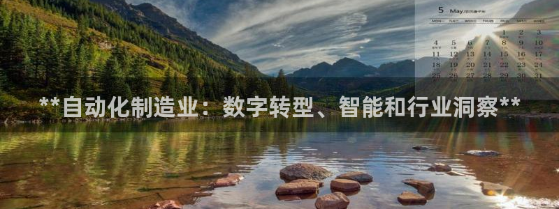 彩神VII购彩中心：**自动化制造业：数字转型、智能和行业洞察**
