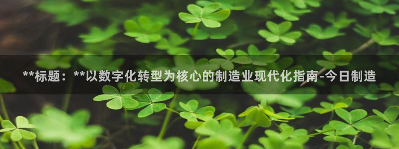 彩神到底能不能赚钱：**标题：**以数字化转型为核心的制造业