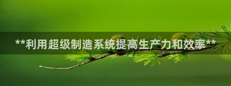 彩神平台是什么套路：**利用超级制造系统提高生产力和效率**
