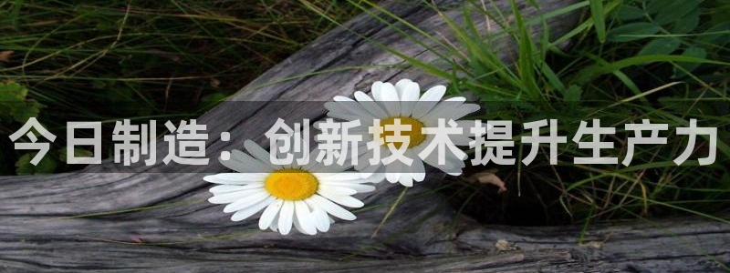 彩神数码科技有限公司