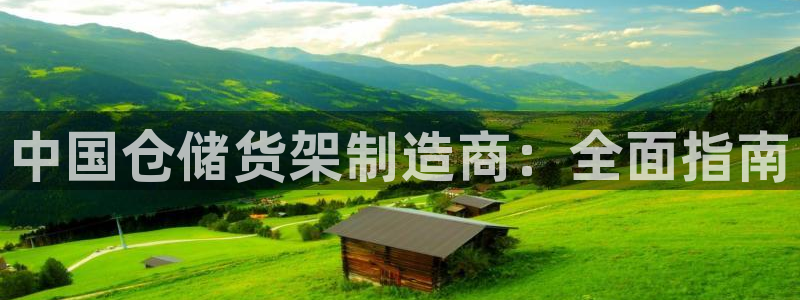 彩神v8手机客户端下载：中国仓储货架制造商：全面指南